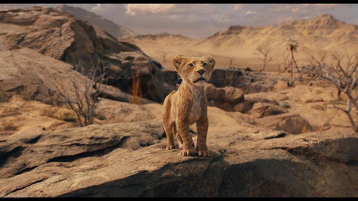 电影《 狮子王:木法沙传奇》深度解析