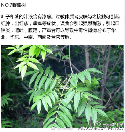 "夫妻俩吃完,双双中毒!