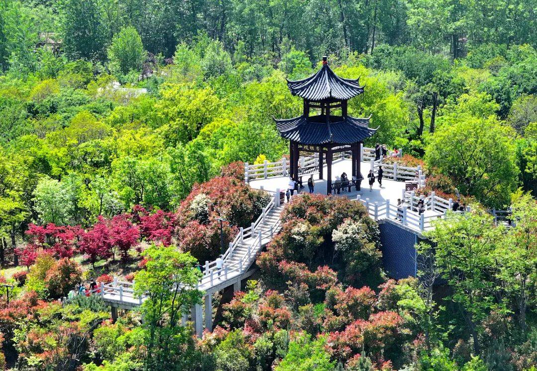 泗县峰山生态旅游景区图片