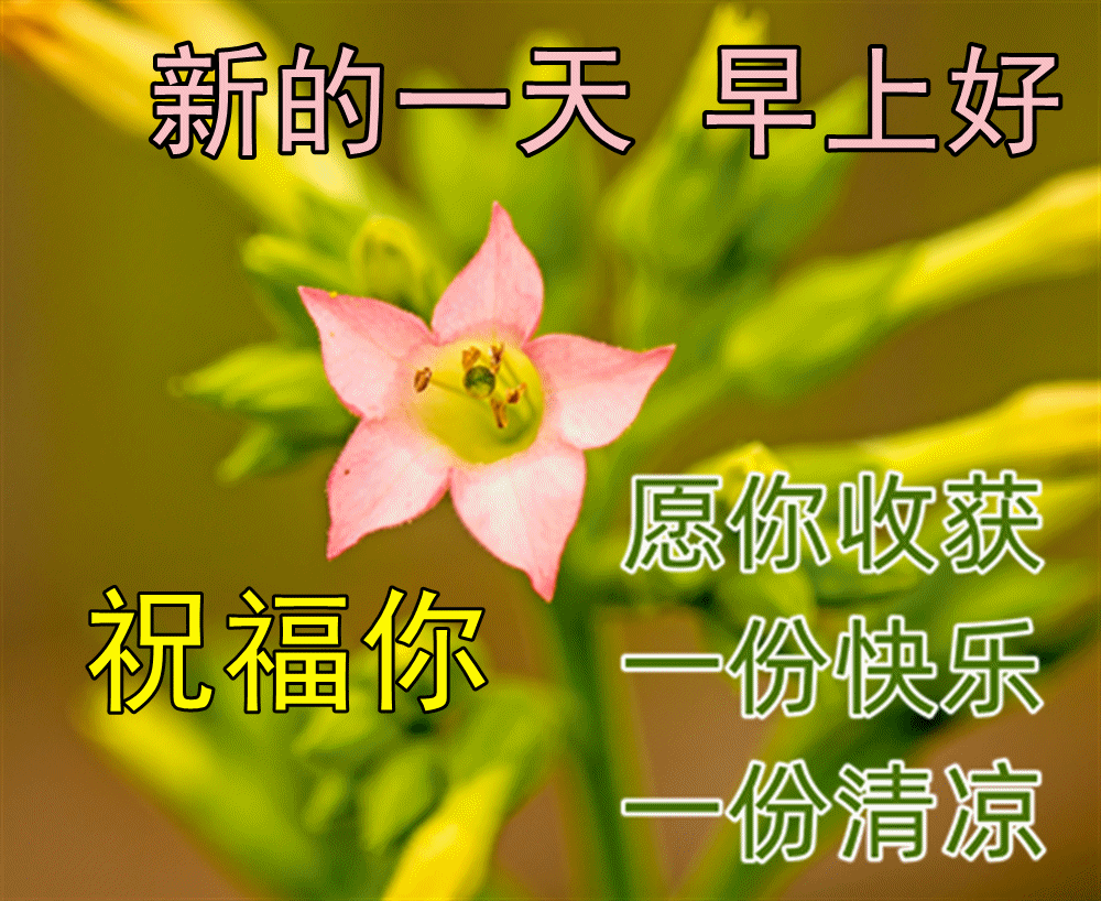 最新早上好表情包图片大全,愿你健康,平安,幸福,快乐!
