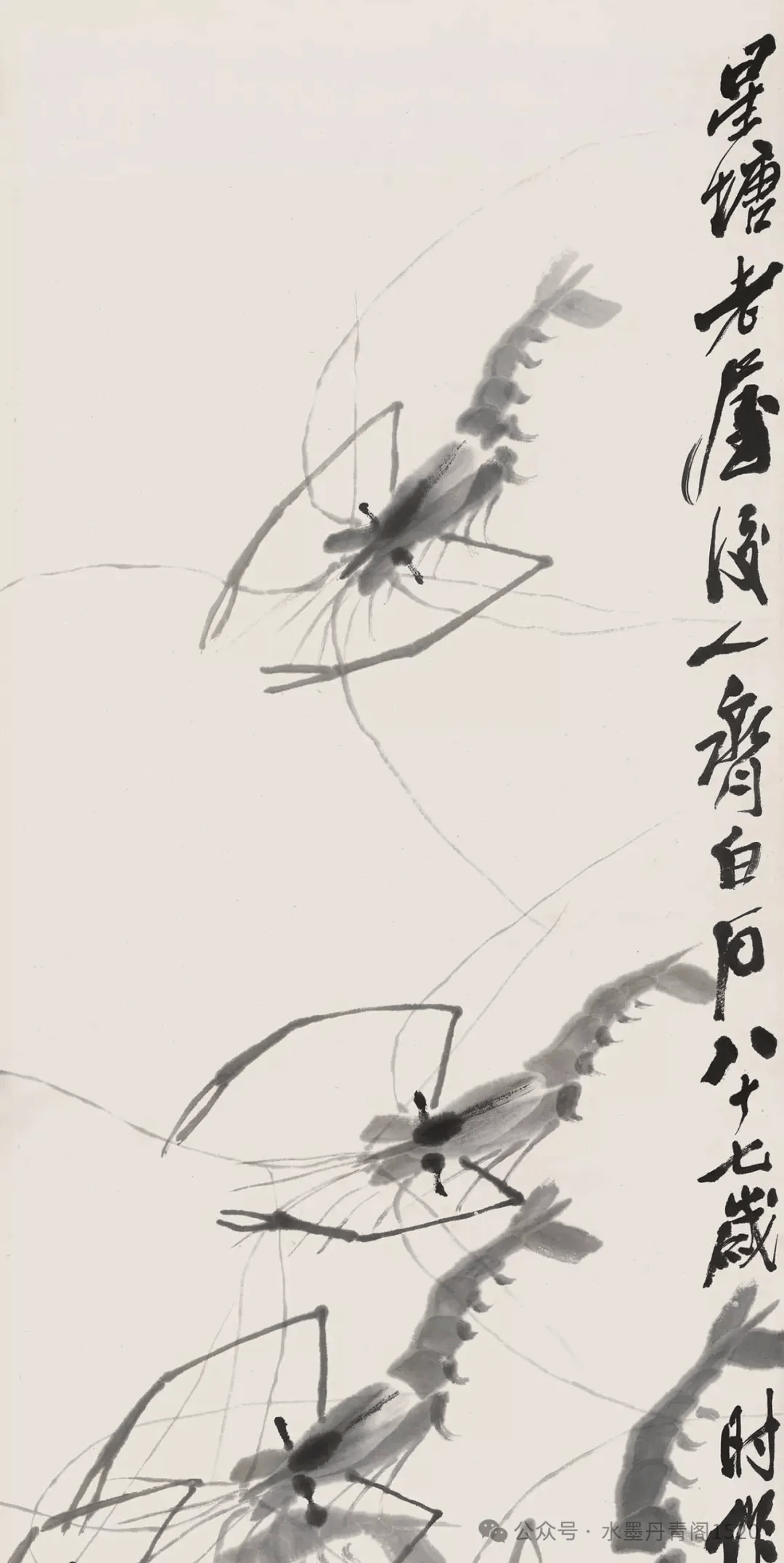 齐白石画虾欣赏