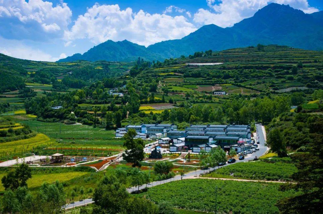 初夏时节,走进临潭县八角镇庙花村,一幅村强,民富,景美的乡村画卷映入