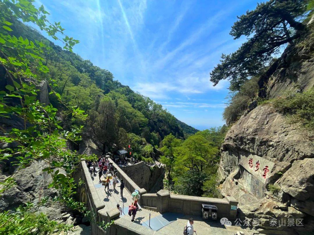夏意渐浓 满山青绿|走进泰山 尽享秀丽好风光