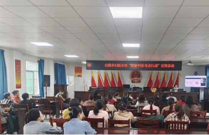 枞阳县白梅乡妇联开展"健康中国 母亲行动"宣传活动