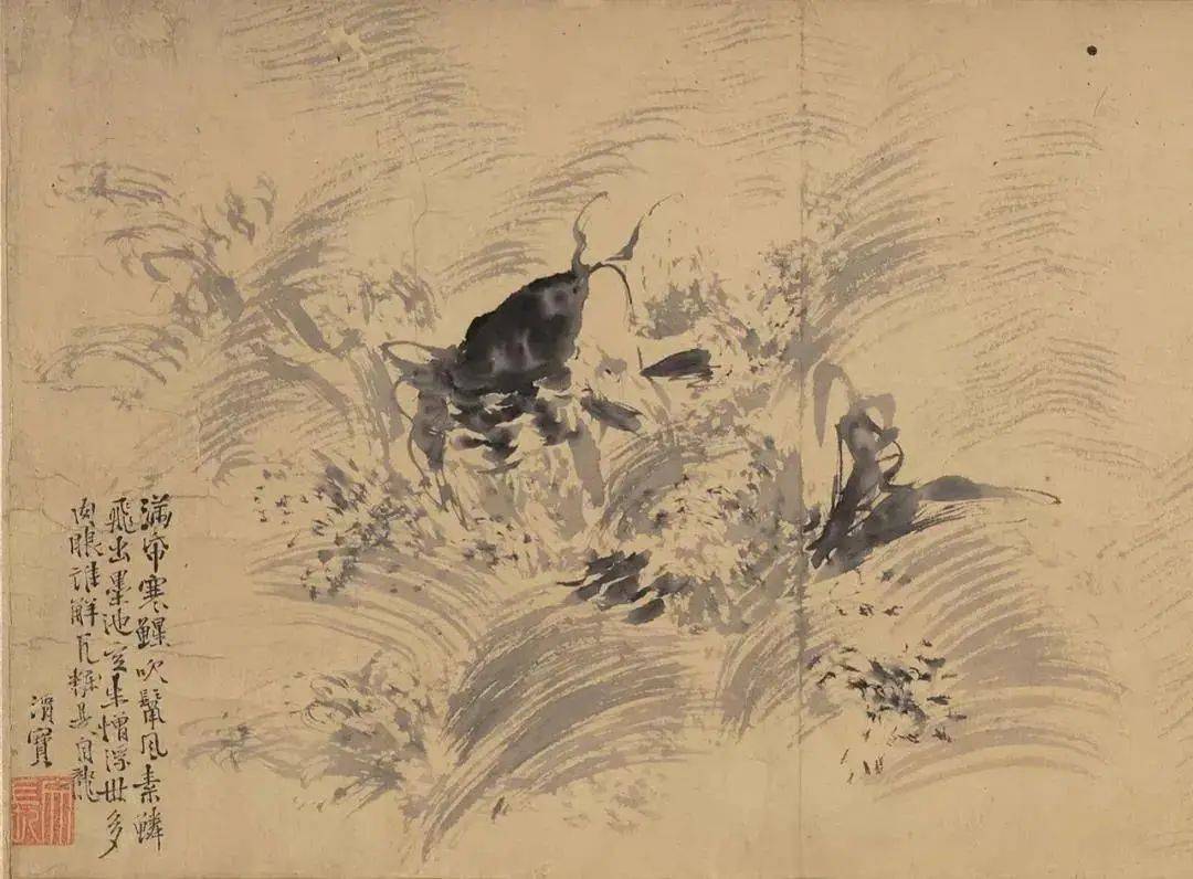 白阳青藤:开辟了文人写意花鸟画的新天地