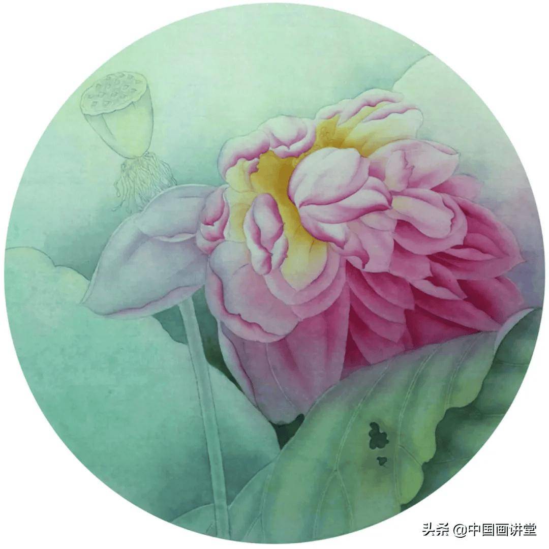 学画工笔荷花扇面,清凉解暑