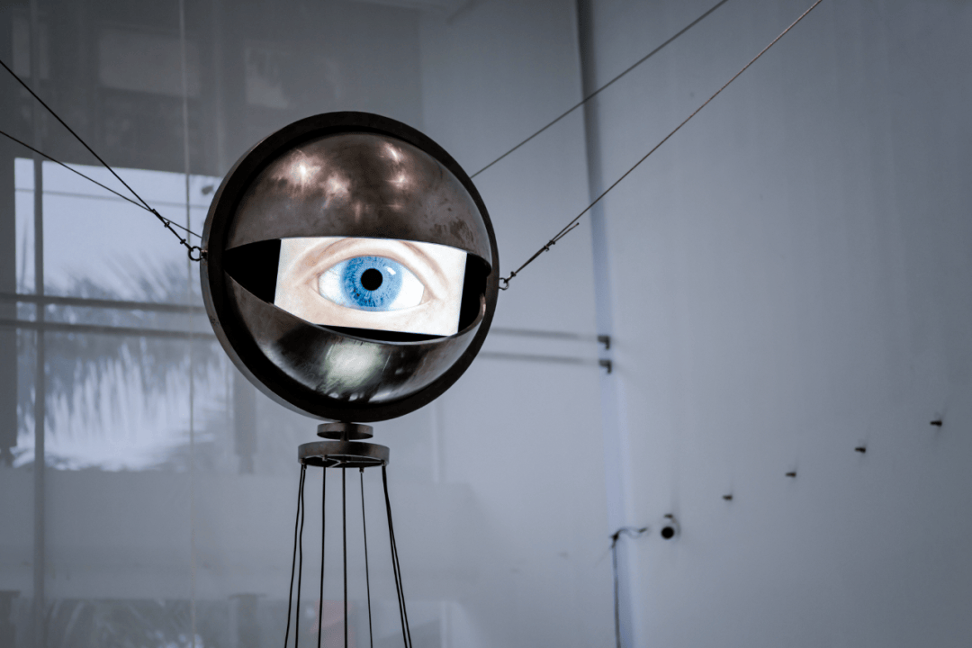 毕业季 | 「独树一帜」视觉艺术设计学院2024届本科