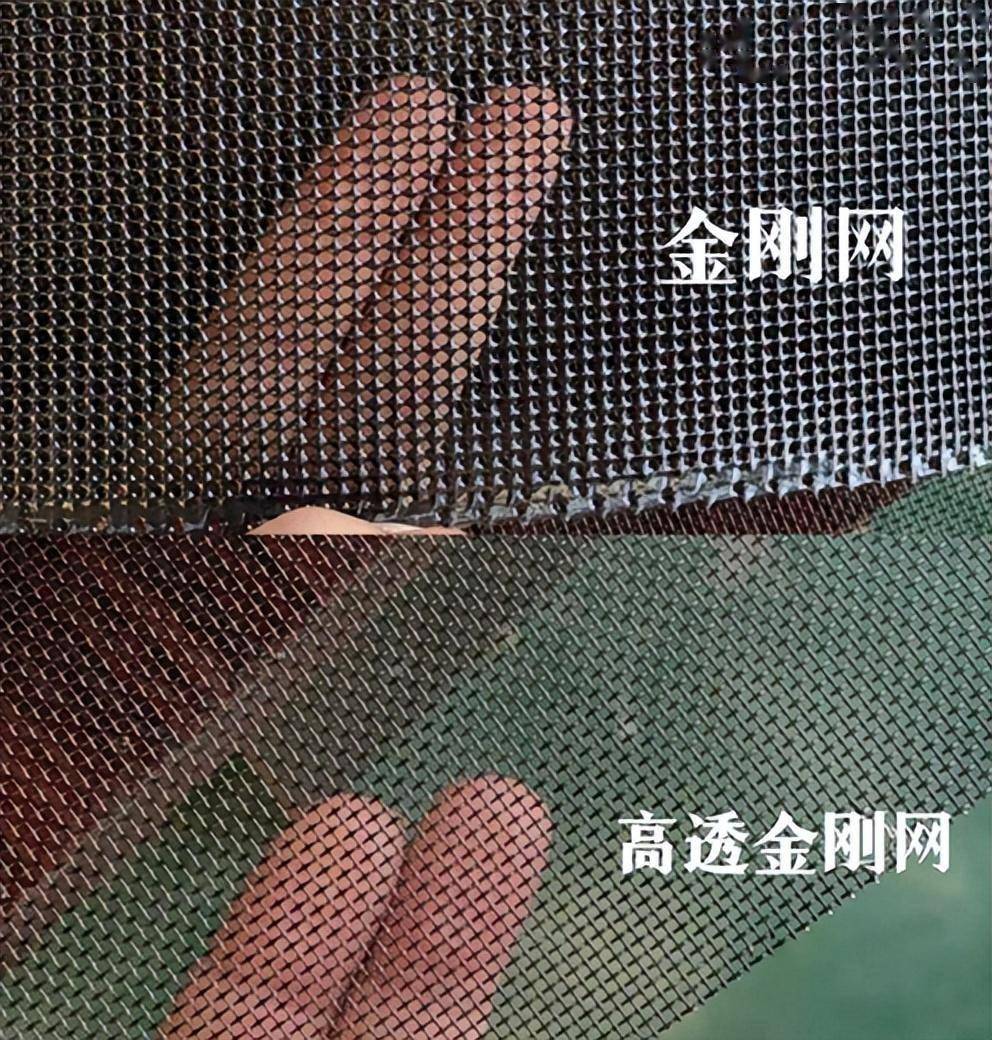 我将"金刚网纱窗"换"高透网"后,有些话不吐不快,差距很大!