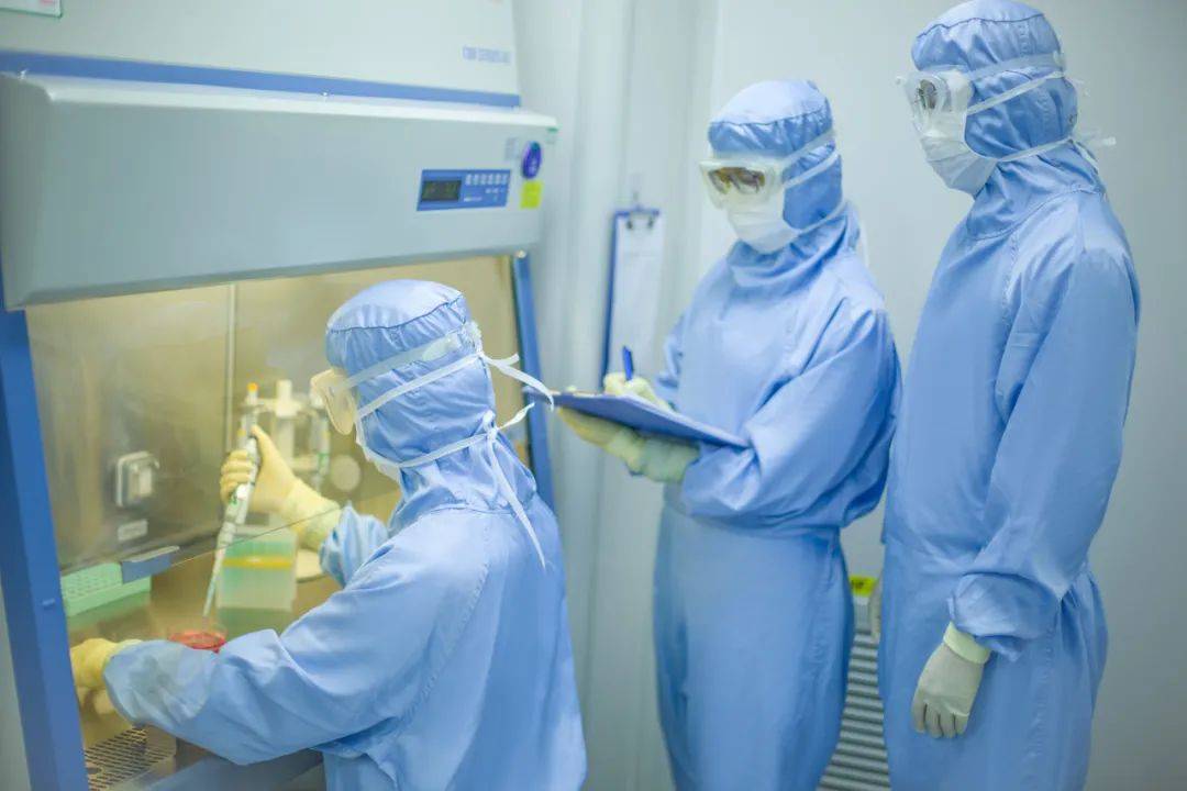 【转载】挑选肿瘤战场上的"最强战队"?