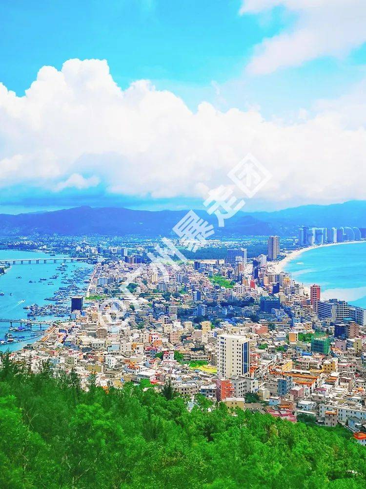 壁纸 桌面 750_1000 竖版 竖屏 手机