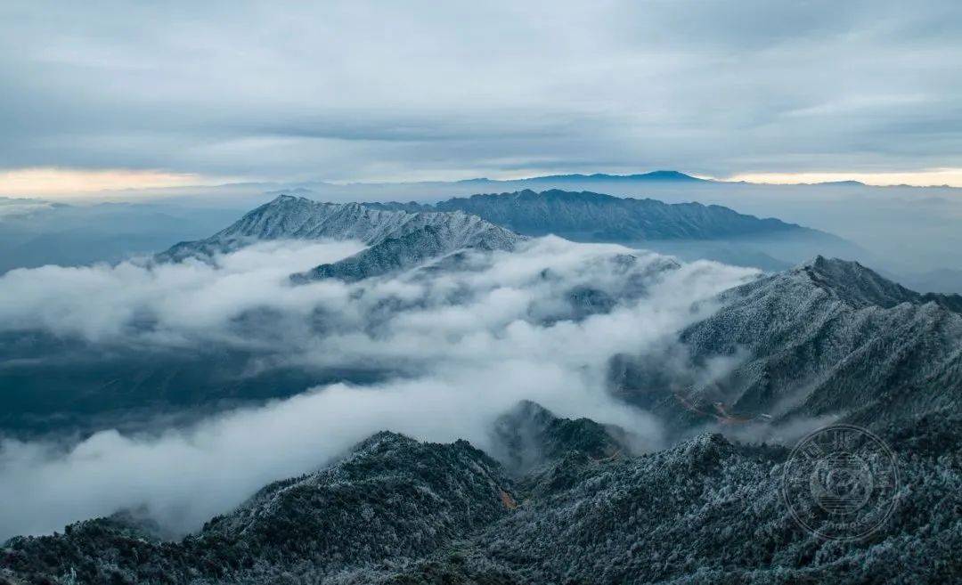 《金色塞罕坝》08李术凡(河北承德)拍摄于奈曼旗孟家段.