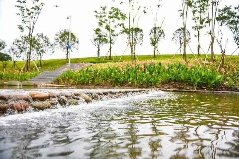 "粽"情九龙丨坡区citywalk漫游指南,换种方式探索城市街巷_步道_重庆