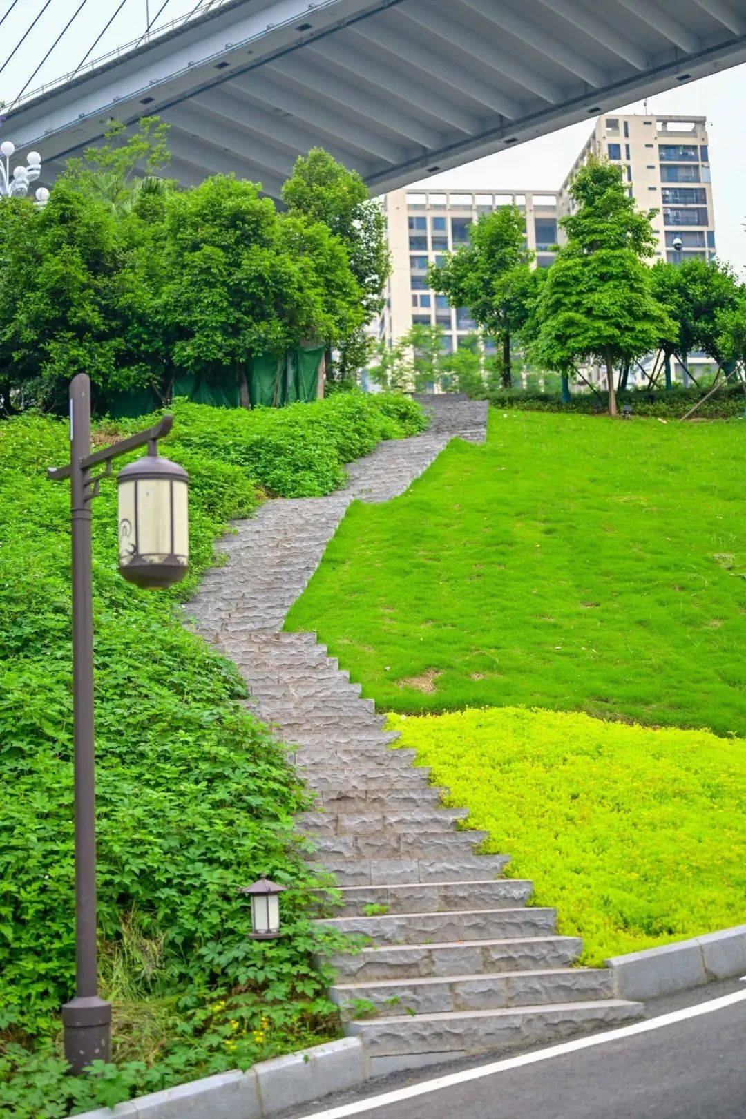 "两江四岸"持续上新_公园_生态_江滩