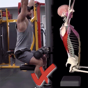 一组肌肉纠错动图解析,别瞎练 让自己浑身是伤!