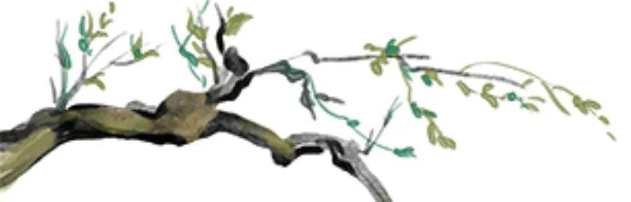 欢颜丨随喜繁花衔好梦,无辞絮柳去何方