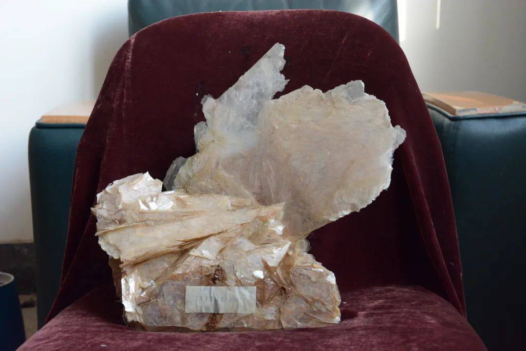 东坝故事 | 人工晶体院:以"国之大者"的使命担当 打造"国之大材"