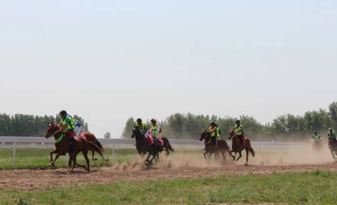 通辽市第七届科尔沁运动大会暨首届速度马常规赛盛大开赛