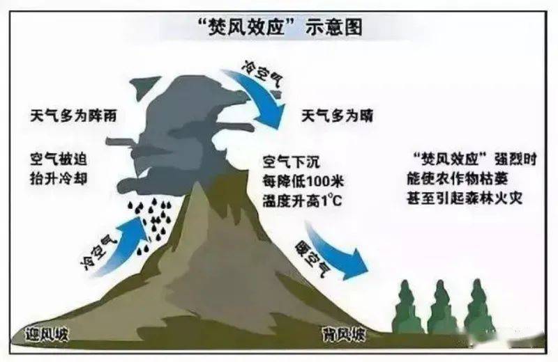 【考点预测】"南菜北运"与"高原夏菜",气象中的"效应"