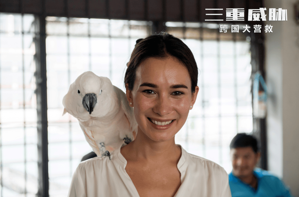 5亿,预售票房仅2万,《战狼2》女主怎么走到这一步_卢靖姗_电影_绝密