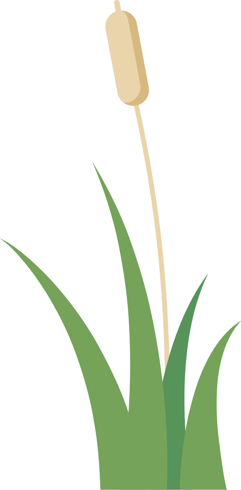 研学活动招募|2024年"爱自然·慧生活"主题夏令营 小暑营队