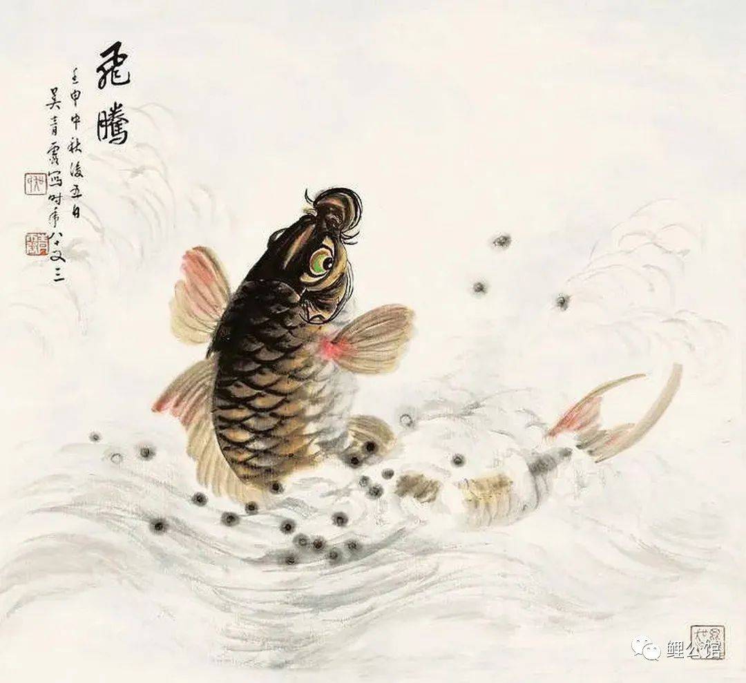 21幅鲤鱼跃龙门,祝福所有的高考学子!