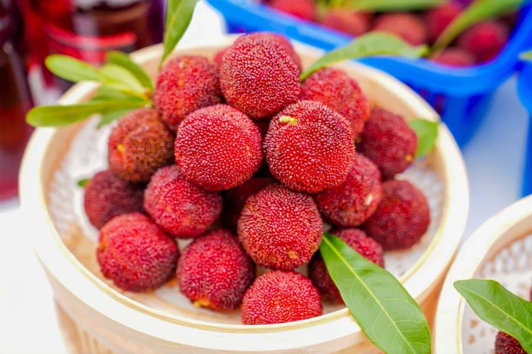 2024浙江"六月杨梅红"系列活动启动!今年全省杨梅产量预计达70万吨