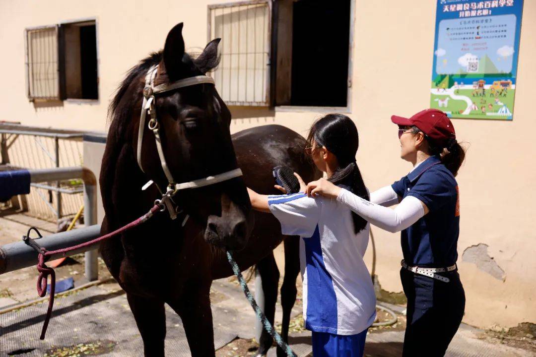 实践汇报|"我眼中所见,是骑手和马融为一体,就算前