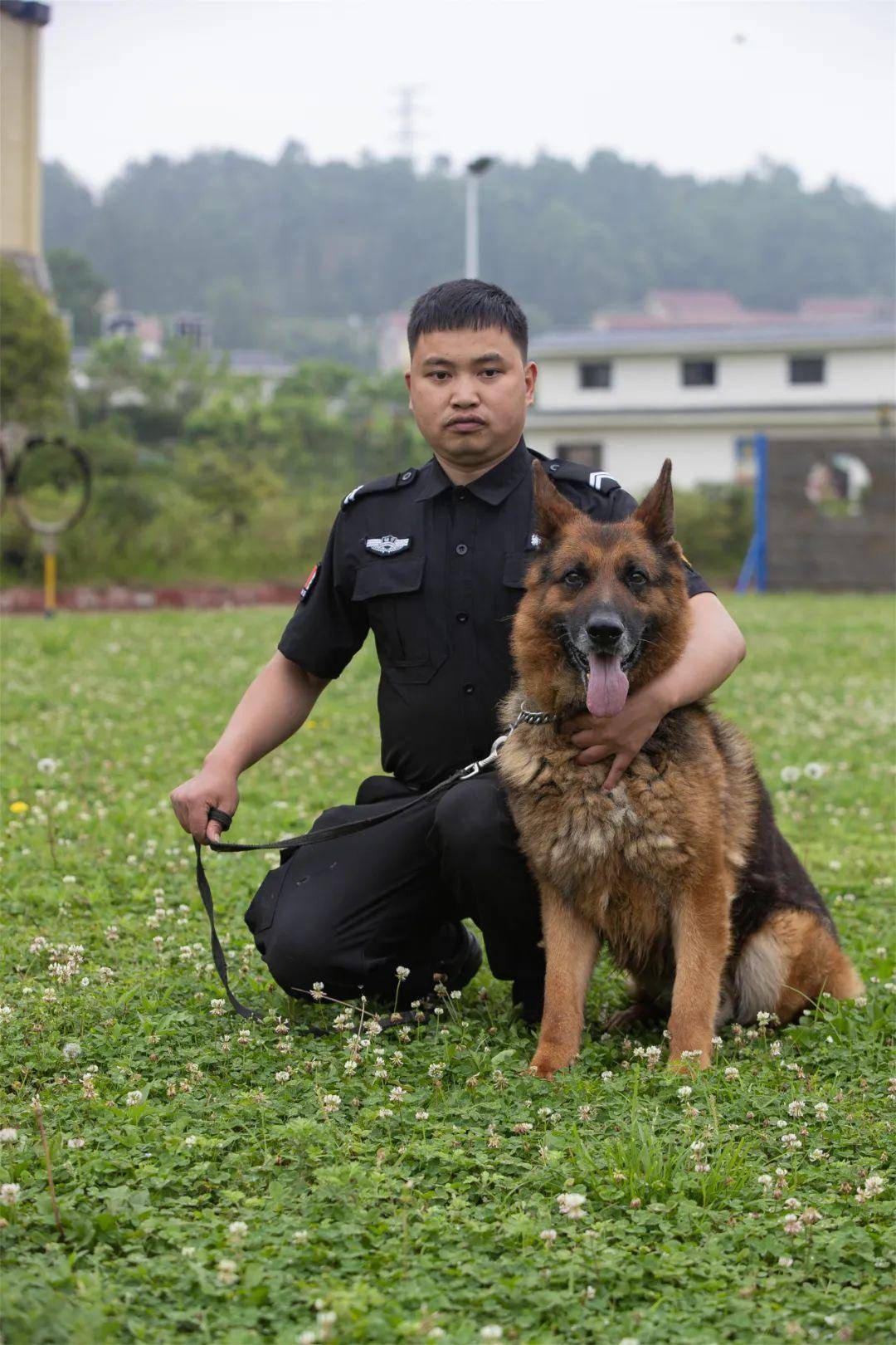 好消息!征集领养人!观山湖公安首批退役警犬开放领养!