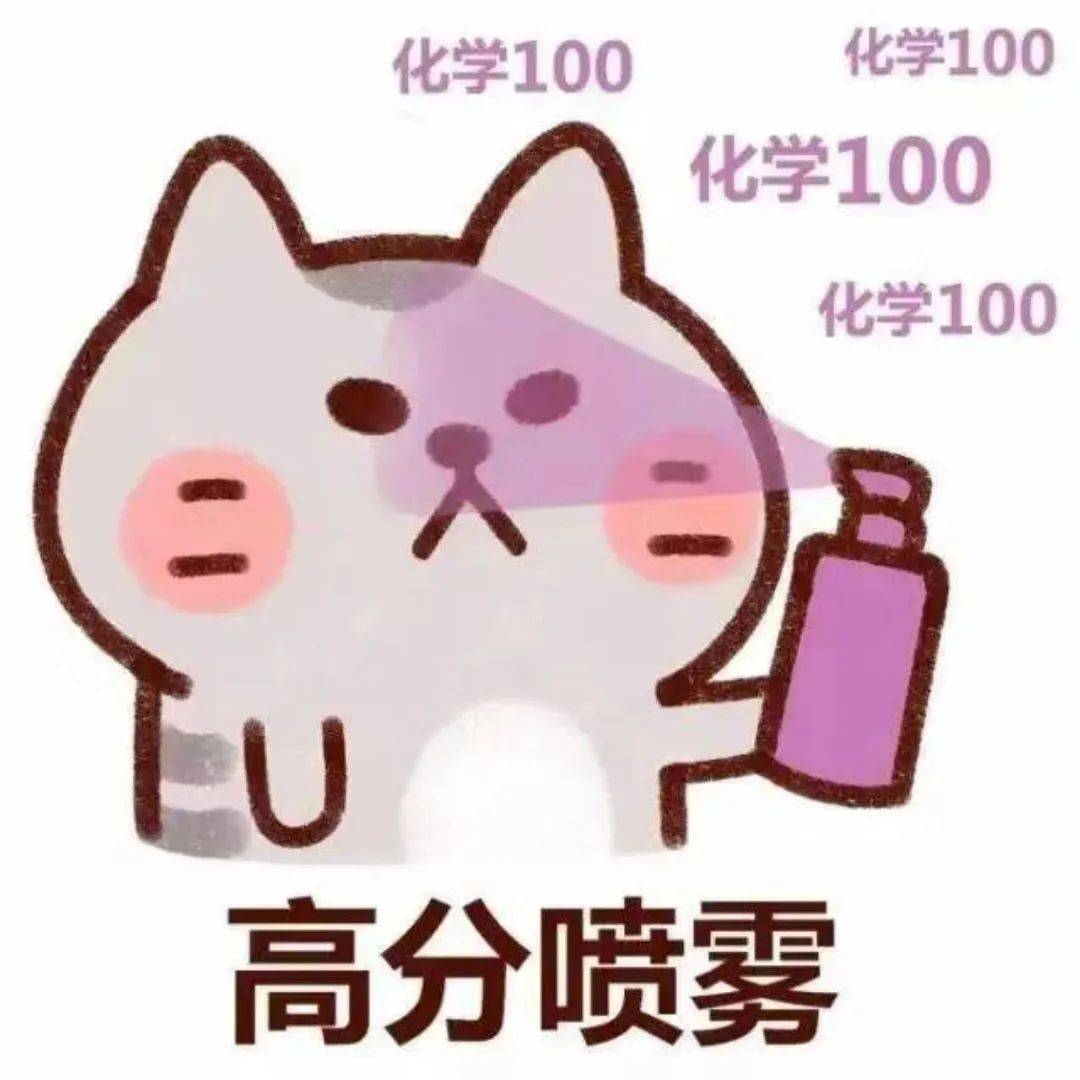 考试100分 表情包图片