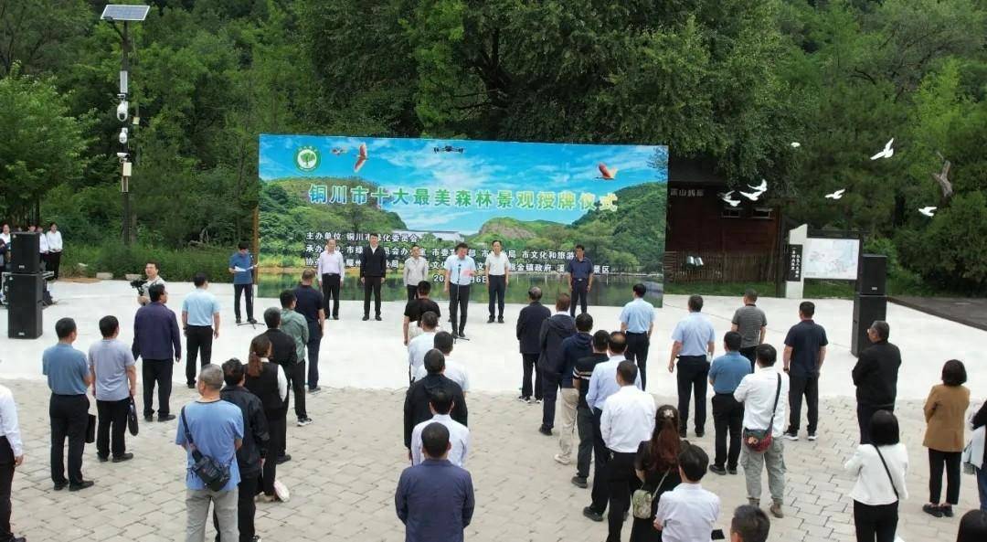 铜川市举办"铜川市十大最美森林景观"授牌仪式