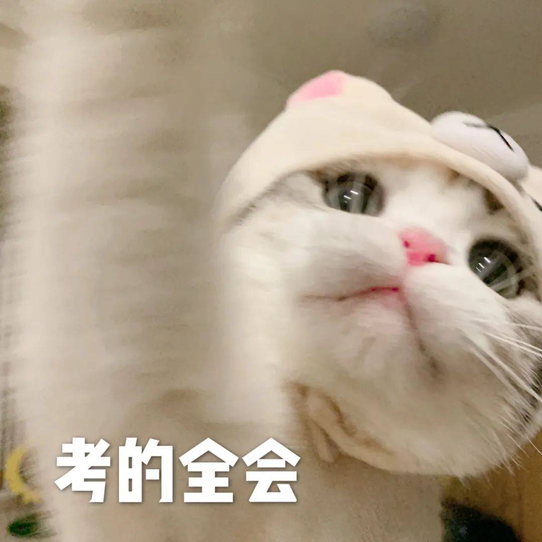 泡芙猫表情包 高考加油高分喷雾biubiu