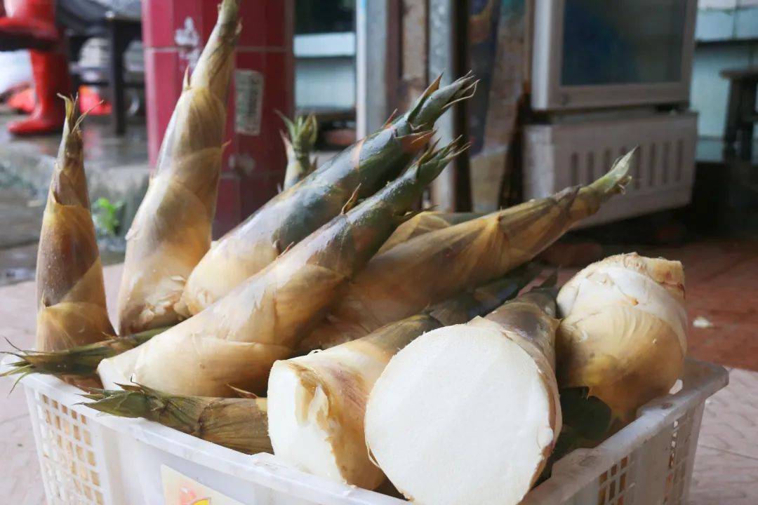 林岳"吊丝丹"美食大赛要来啦!吃笋地图抢先看