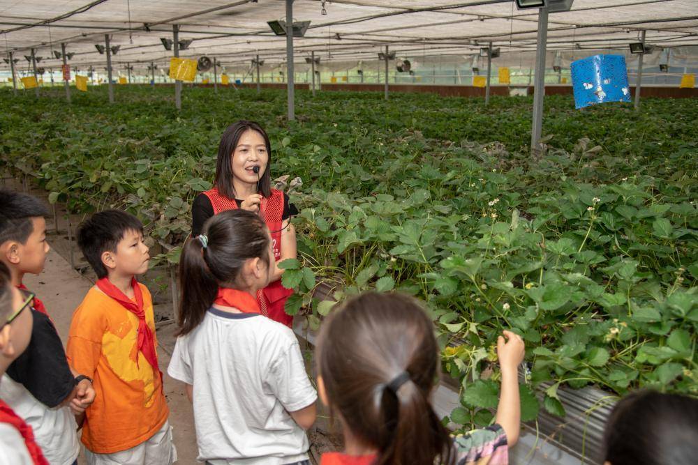 辽望:管家婆精准一肖一码100-城市：“社科联手，深赣合作”，两地城市文化交流系列活动正式启动