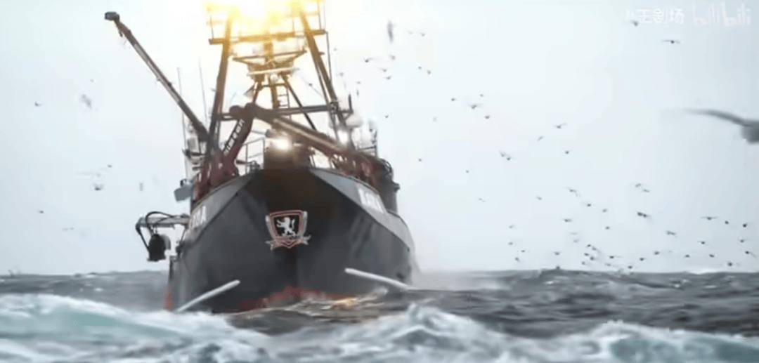 月薪13万 上海女白领在北冰洋捕蟹