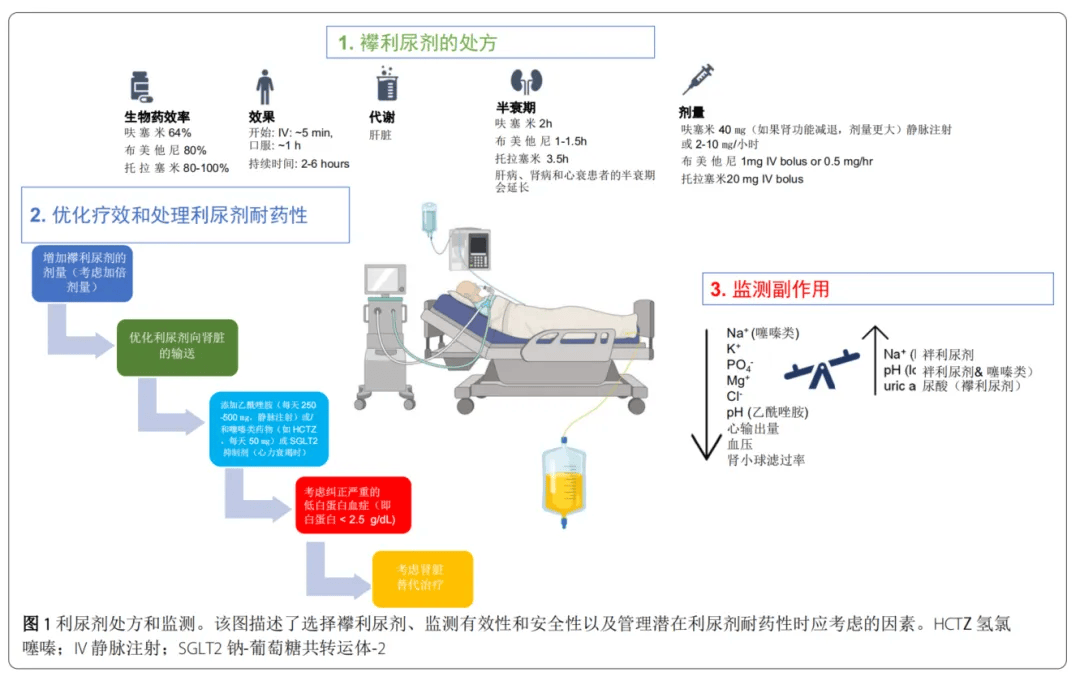 在重症患者中如何使用利尿剂疗法