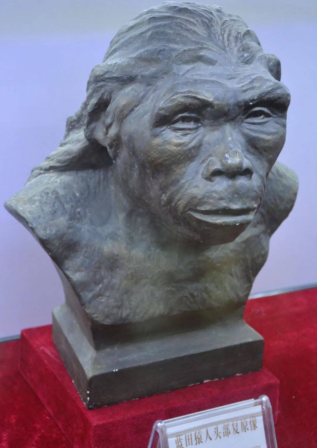 雕塑 1080_1526 竖版 竖屏