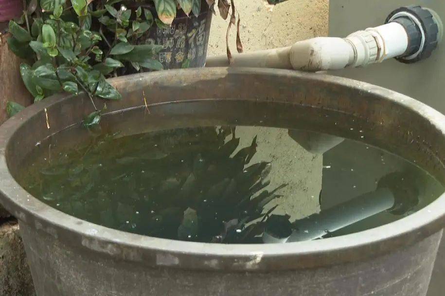 【爱国卫生运动"红黑榜"】住宅小区积水点曝光