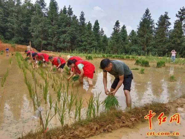 从江:"同心向强·共卫国防"在行动(组图)