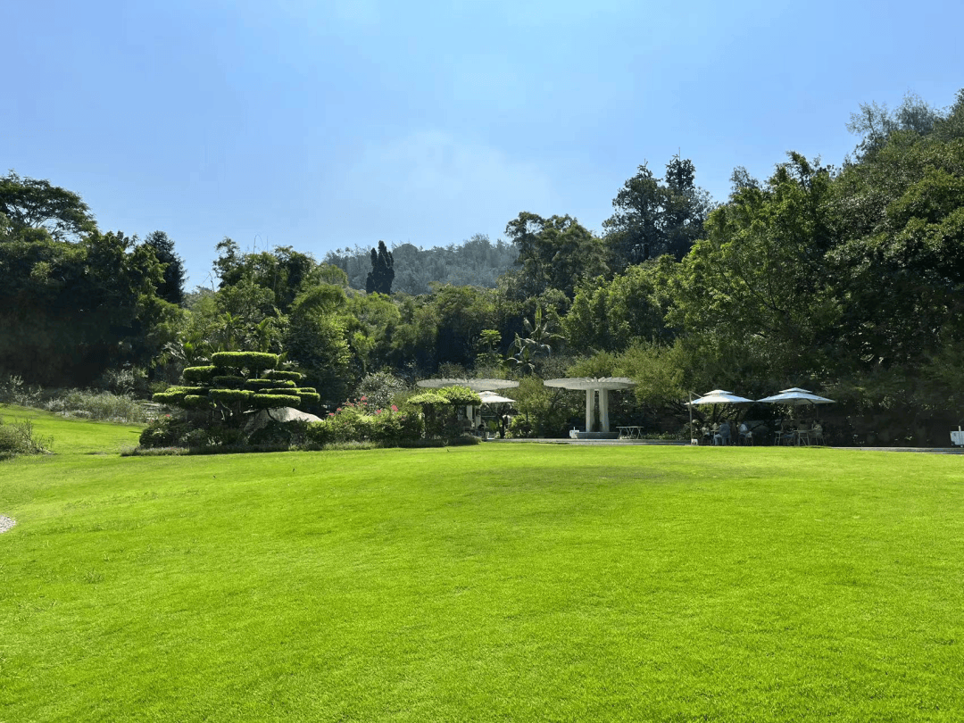 端午假期厦门哪里好玩?看这篇攻略就够了!