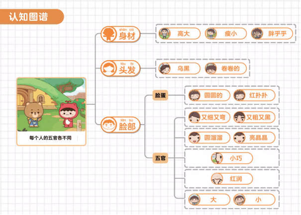 每节课之后,还会使用好理解的思维导图,帮助孩子们快速建立知识的结构