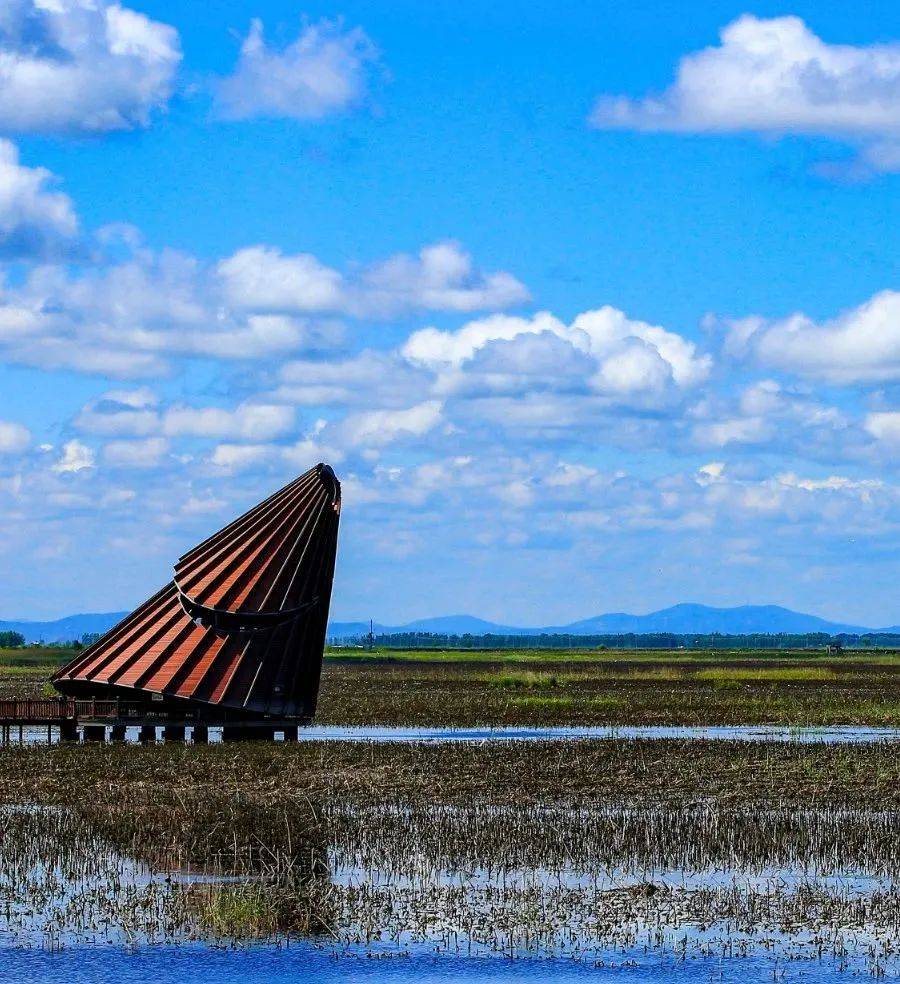 【端午】踏青出游季