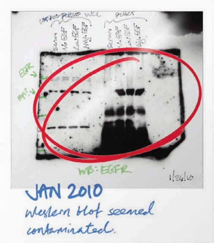 里倒酒精,整个实验室被拖垮,同门惨遭延毕_希瑟·艾姆斯_问题_布里古
