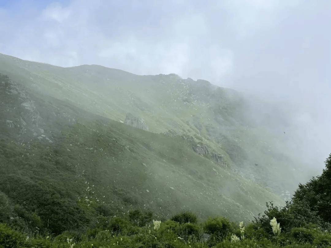 青青徒步 | 6.15【中级】 东灵山穿越达摩古道,登顶北京之巅