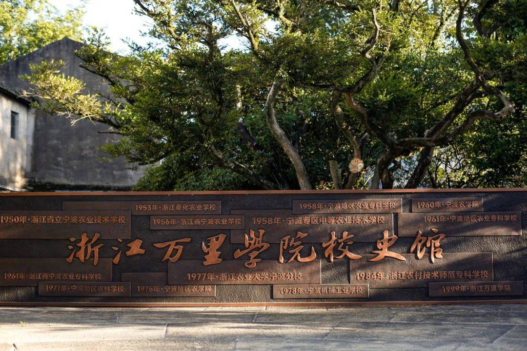 一举高"粽"!万里等你来_浙江_宁波_故事