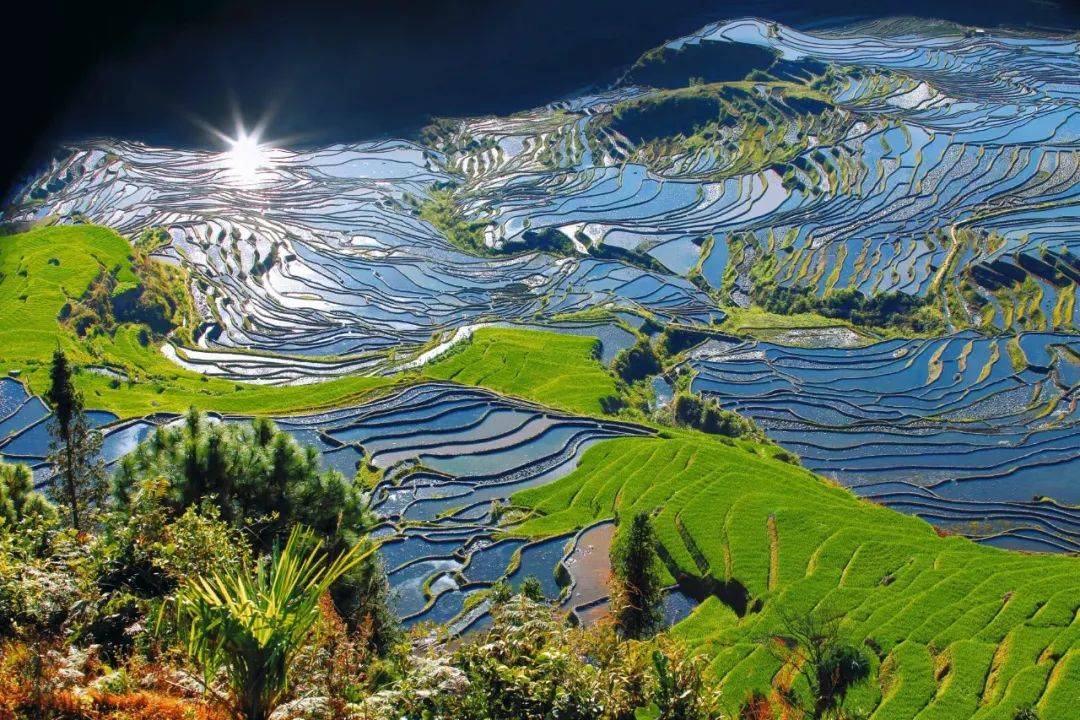 云南多个景区官宣!这一群体免票优惠→_高考_门票_准考证