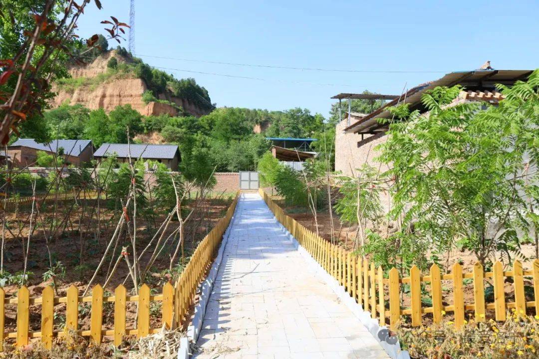 集中连片推进乡村振兴|东宋镇贾窑村:一宅变四园,美丽乡村秀新颜