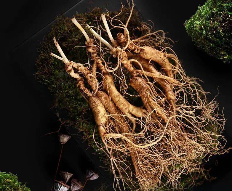 十五年以上足龄「野山参粉」,整根研磨,一次一瓶,养足精气神!