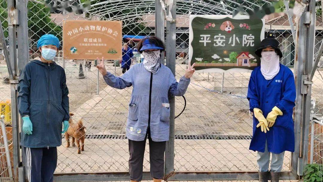 全国流浪动物救助联盟第十一批成员正式挂牌