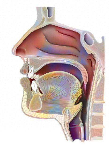如何解决?听医生说