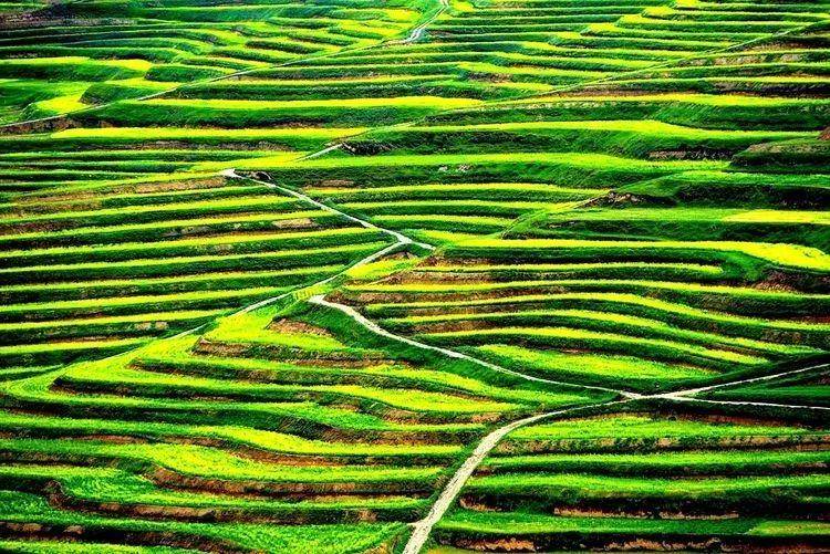 吹风,净肺,深呼吸,拥抱夏日的清凉时光,天祝大红沟五彩缤纷,像一个